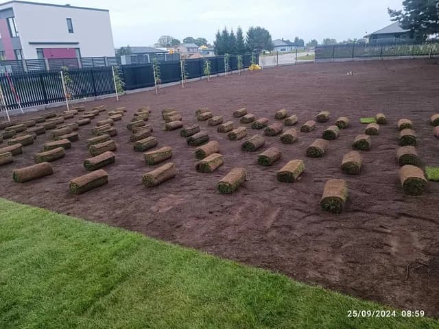 Paving and landscape design 2